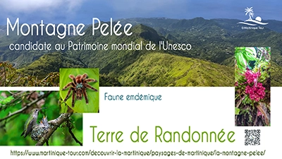 Les Paysages en Martinique - Martinique Tour